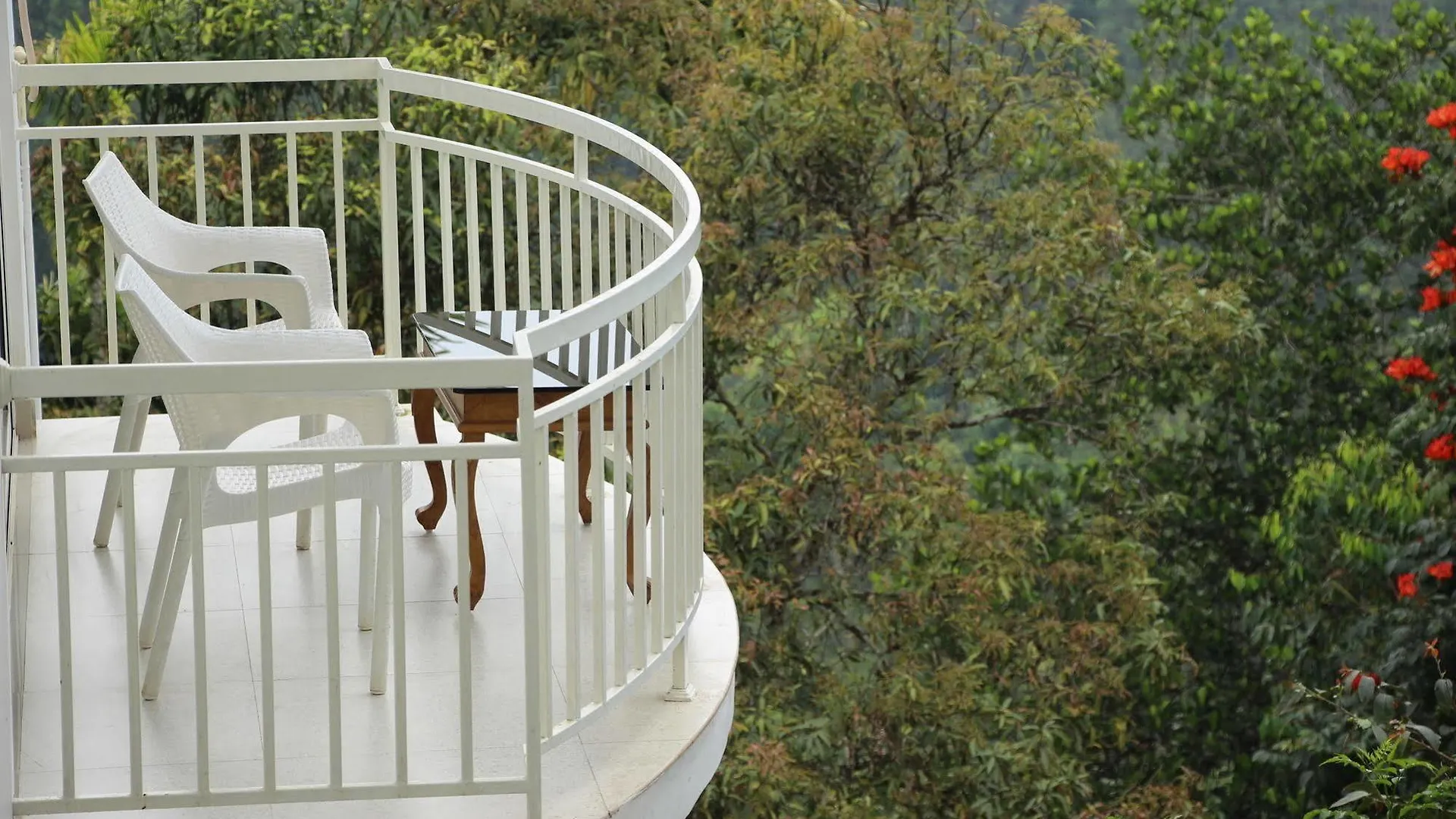 ***** Resort The Fog Munnar Hotel India